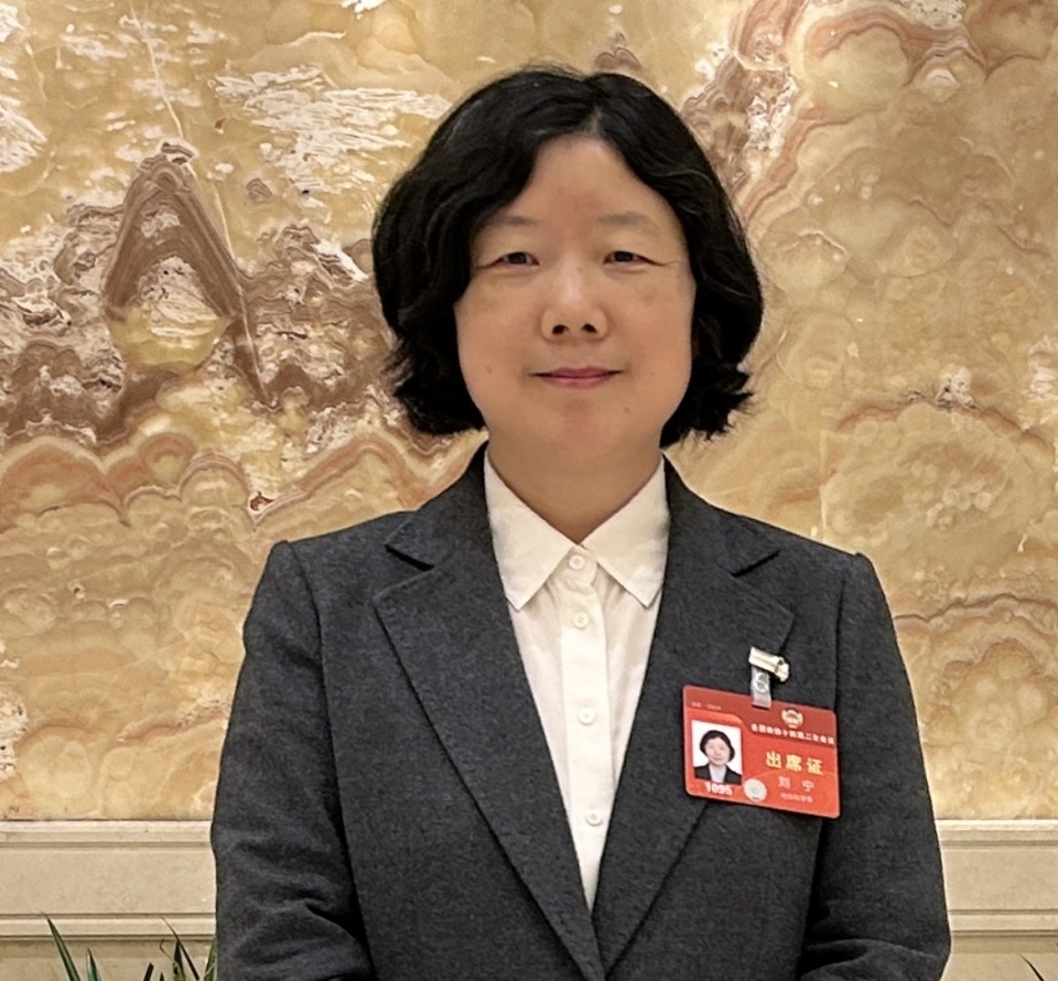 两会建言全国政协委员刘宁建议进一步完善古籍工作项目评价与人才奖励