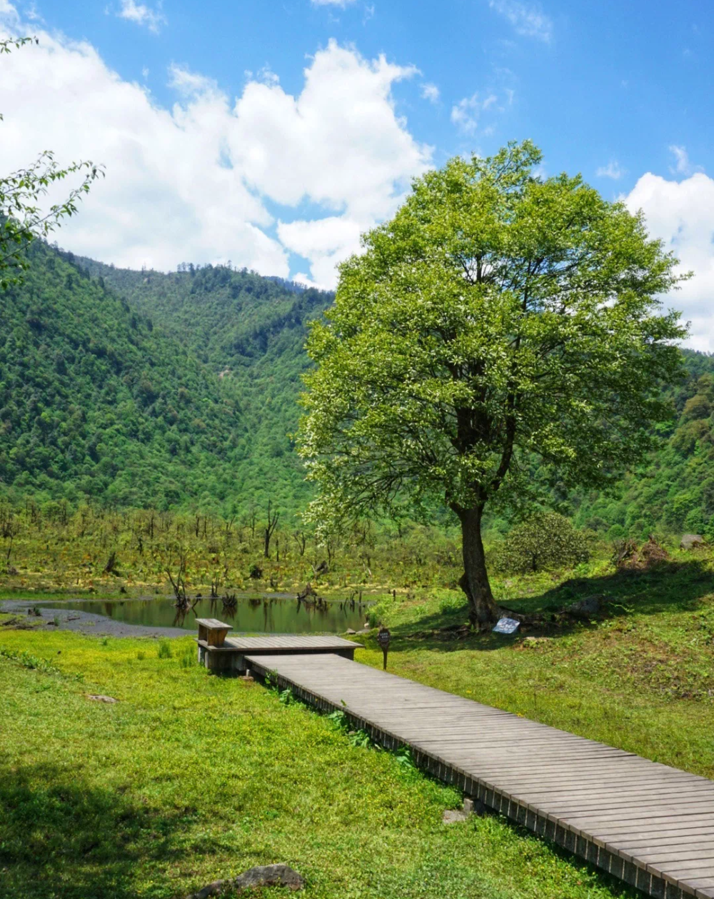五一黑竹沟景区走起?好看的,好玩的,好吃的这里全都有!
