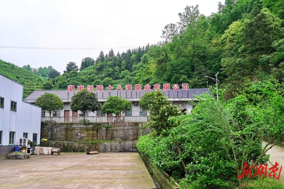 沅陵楠木铺乡:稻丰果香仓廪实 人居焕新产业旺