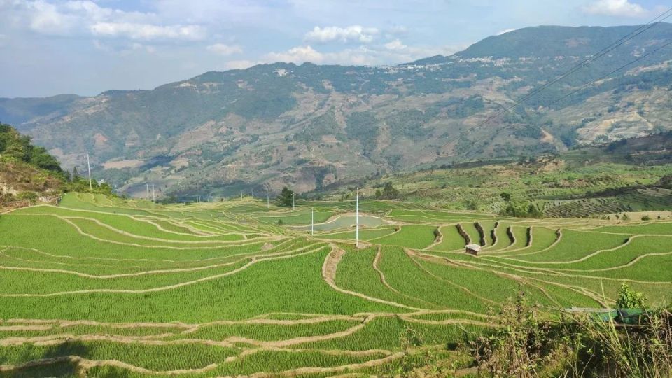 高考生,免费畅游撒玛坝万亩梯田景区 更多福利