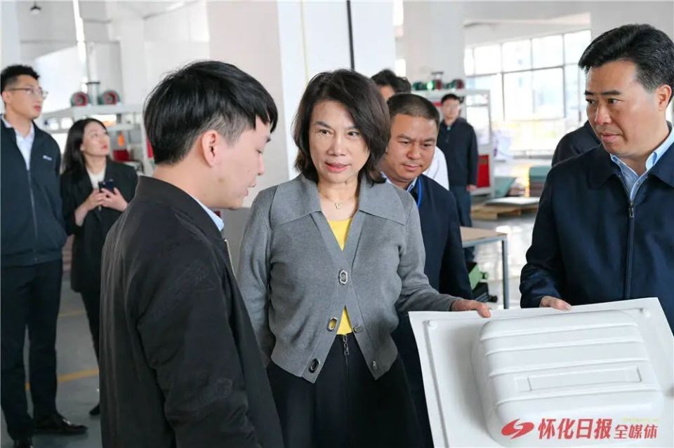 董明珠来怀化考察_腾讯新闻