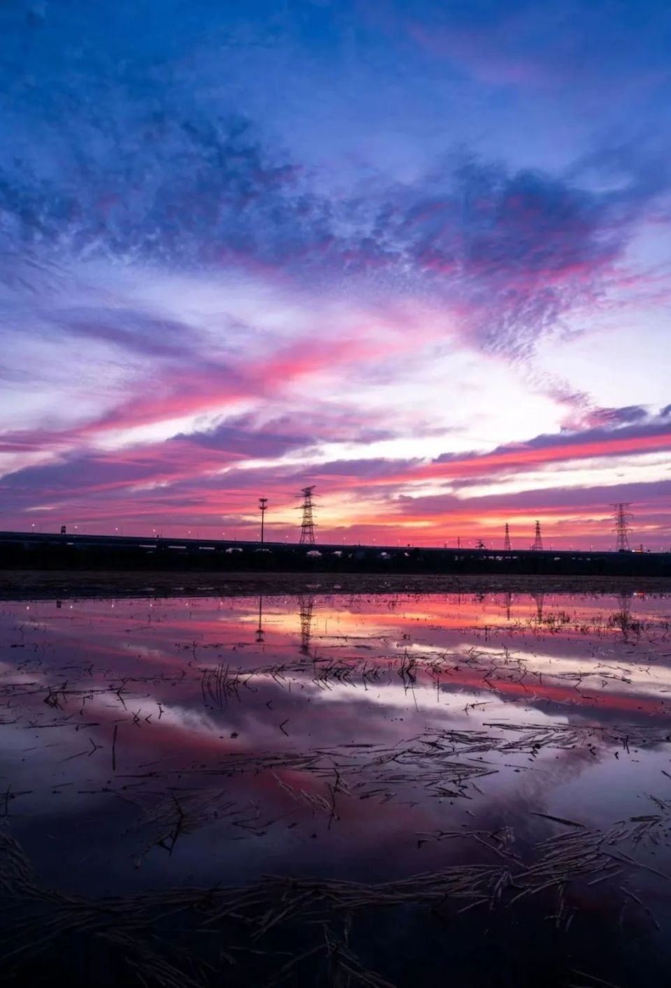 杭州迎来世纪朝霞!凌晨三四点,这些地方都是人!