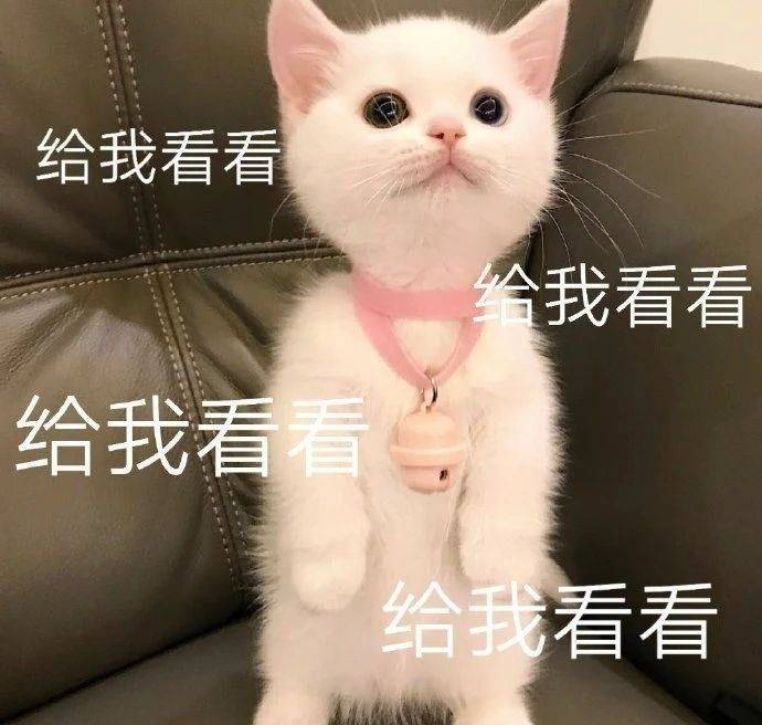 20 款乐雅池春夏新品闭眼入，件件都好看！(图1)