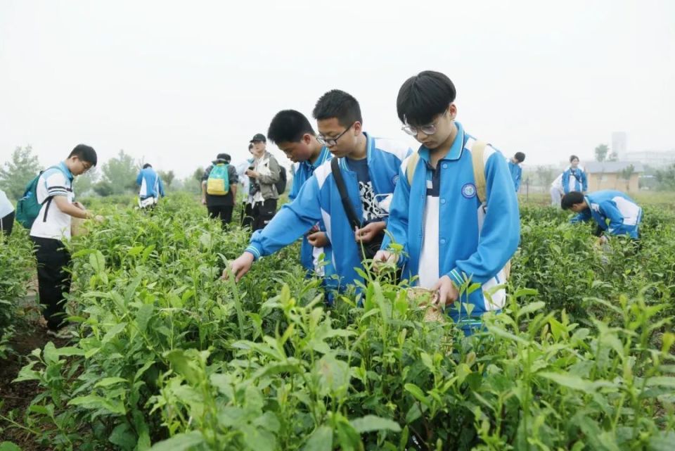 八年级的300多名学生,来自华师一附中光谷汤逊湖学校天门市皂市镇白土