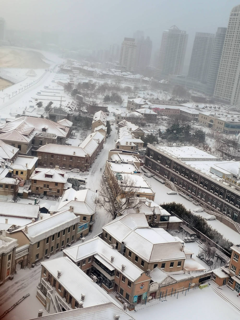 美翻了烟台雪景图上新