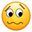 福州包阿姨高烧不退？元凶竟是家中的宠物！咋回事？