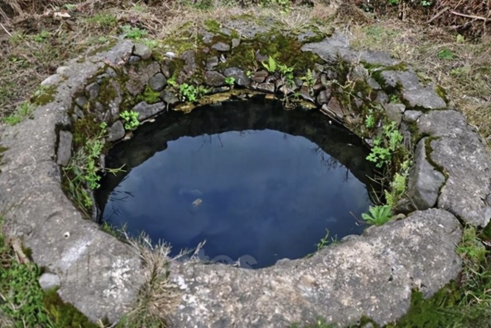 河姆渡遗址水井图片