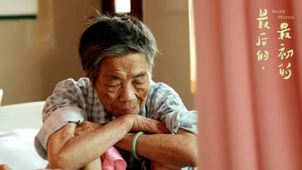 【周末折叠】电影《最初的,最后的》:生命陪伴生命