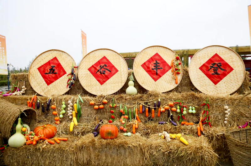 永宁县农业农村局供图当天,丰收锣鼓,舞狮队及一系列联欢活动和农民