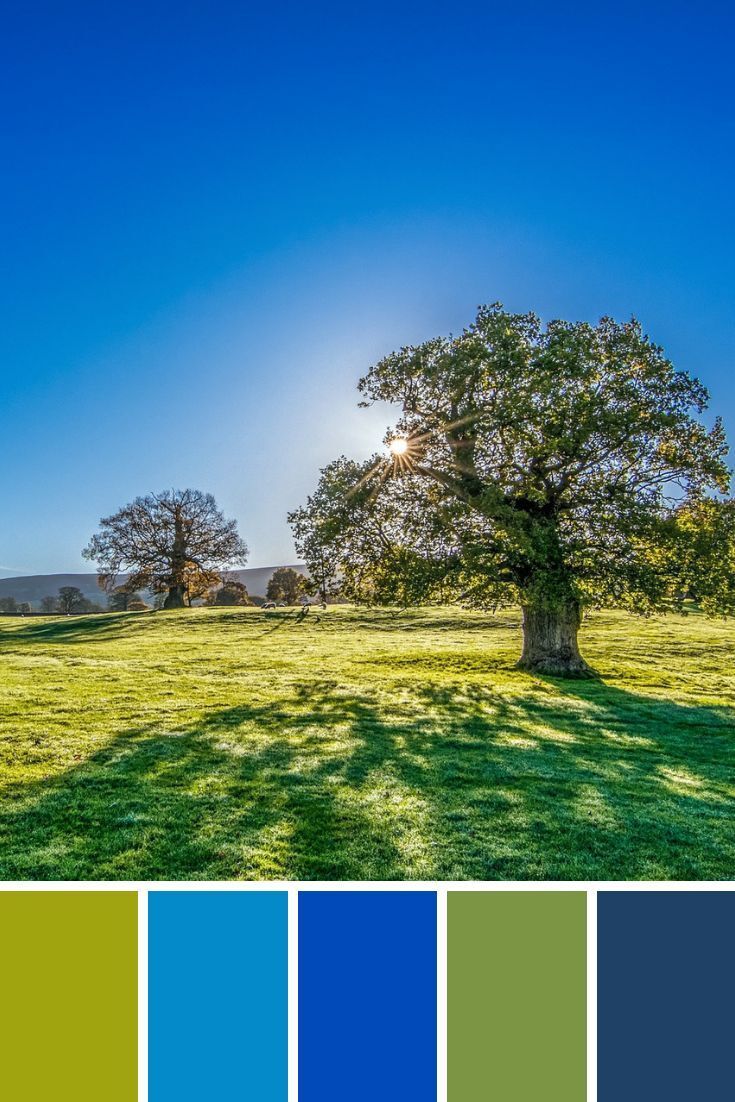 一组色彩搭配方案