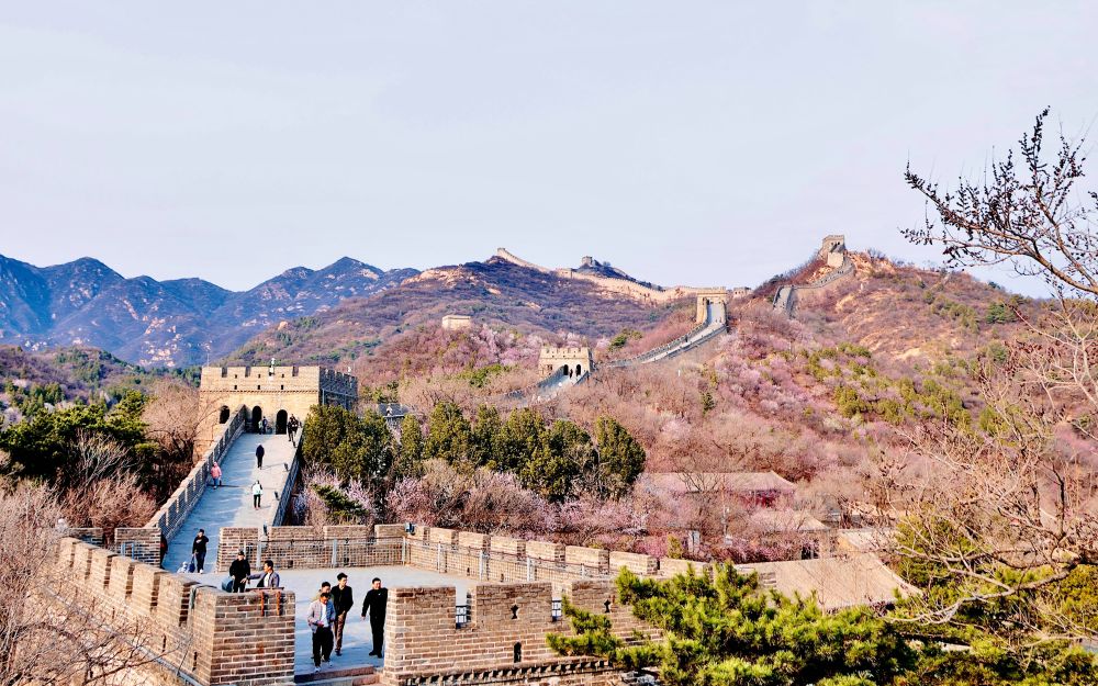 水关长城山花绽放登高赏花正当时