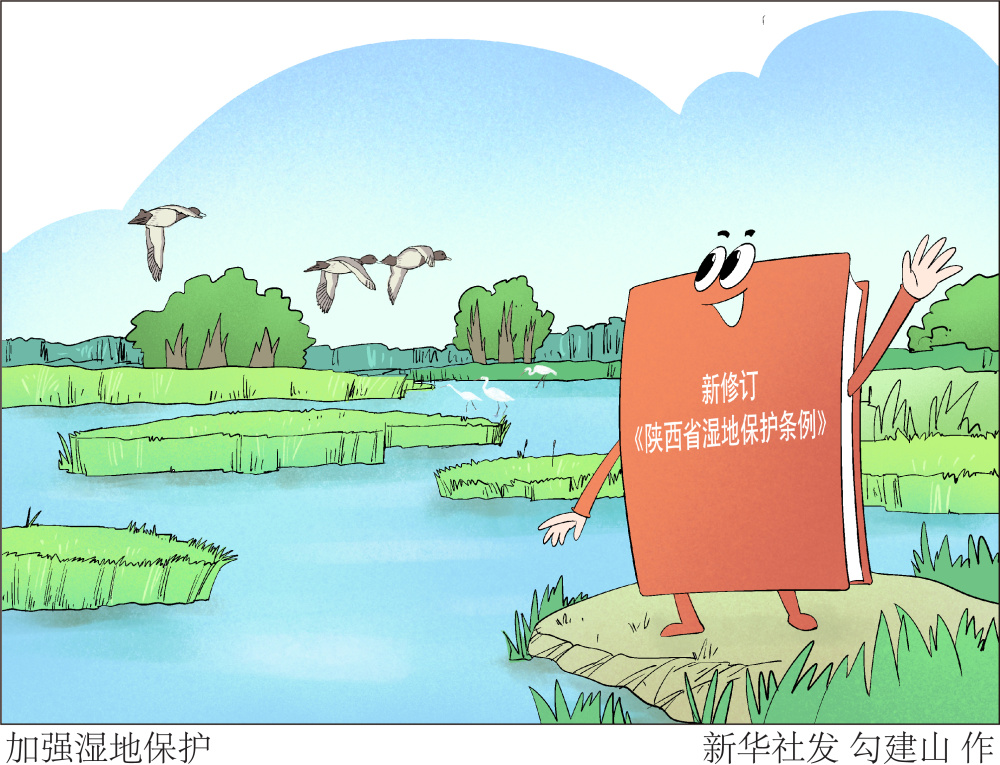 (图表·漫画)〔环境〕加强湿地保护_腾讯新闻
