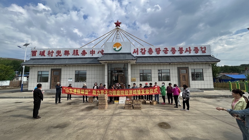 汪清县罗子沟庭院三小经济小种子培育增产增收参天大树