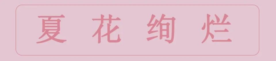 画家们便心怀热忱,纷纷沉醉于绚烂的花海,力求捕获每一朵盛放的璀璨