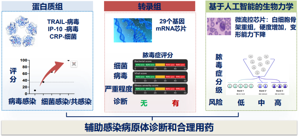 怎么鉴定呼吸套装真伪任丽丽教授：如何判断“责任病原体”？基于病原学研究进展如何优化我国呼吸道感染诊疗的探讨？——呼吸道感染病原的甄别与诊断_https://www.jmylbn.com_新闻资讯_第8张