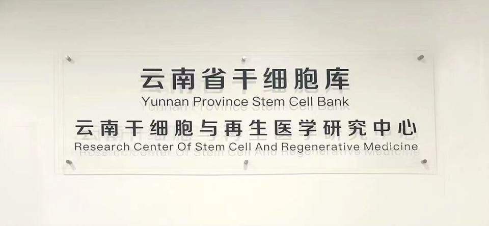 一种以进行性,不可逆的弥漫性肺泡炎症和肺泡结构紊乱为特征的罕见病