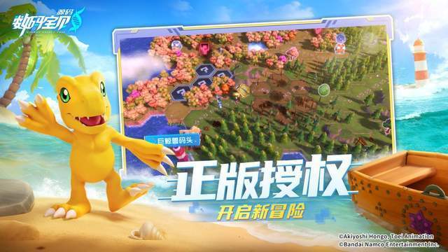 图片