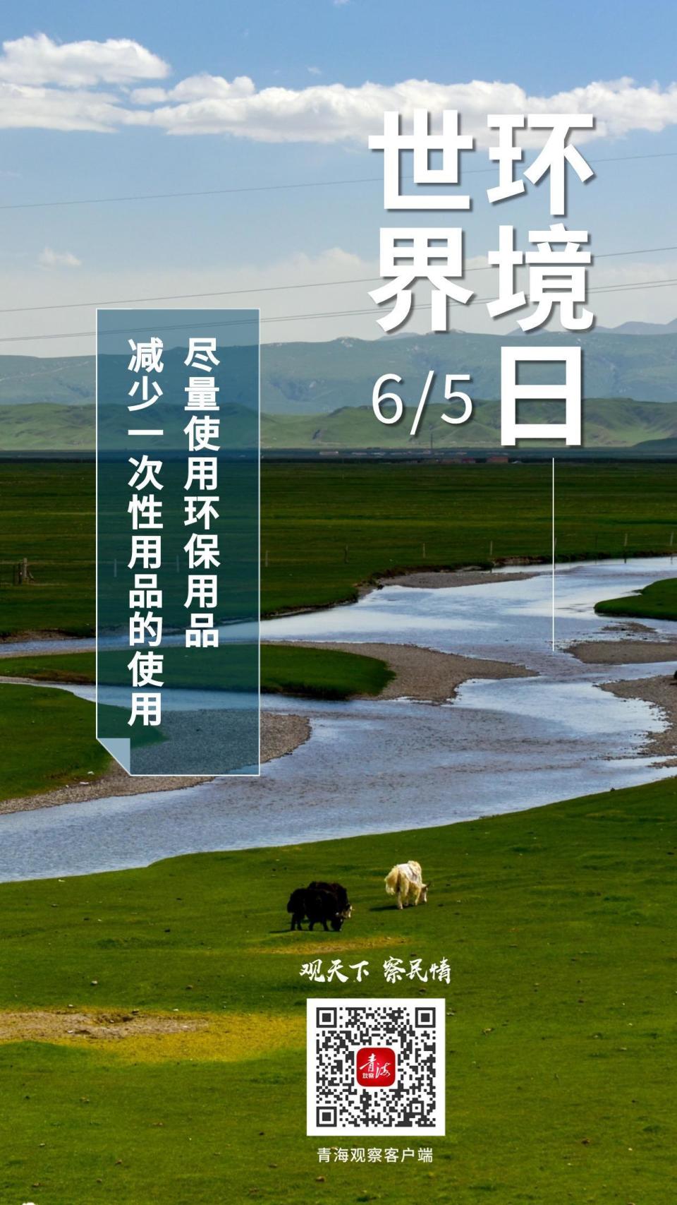 海报 | 【世界环境日】保护环境,我们可以这样做!