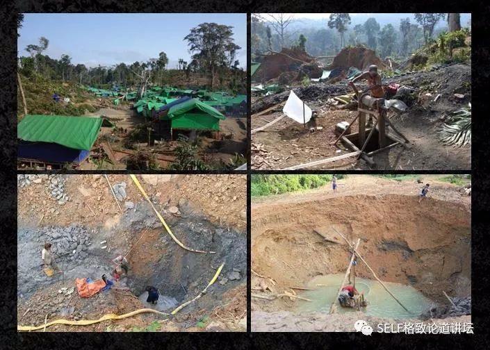 入了琥珀这个"坑",我才发现地球上曾经存在过这么奇特的生物 | 王博