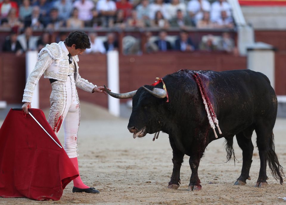 西班牙:斗牛表演