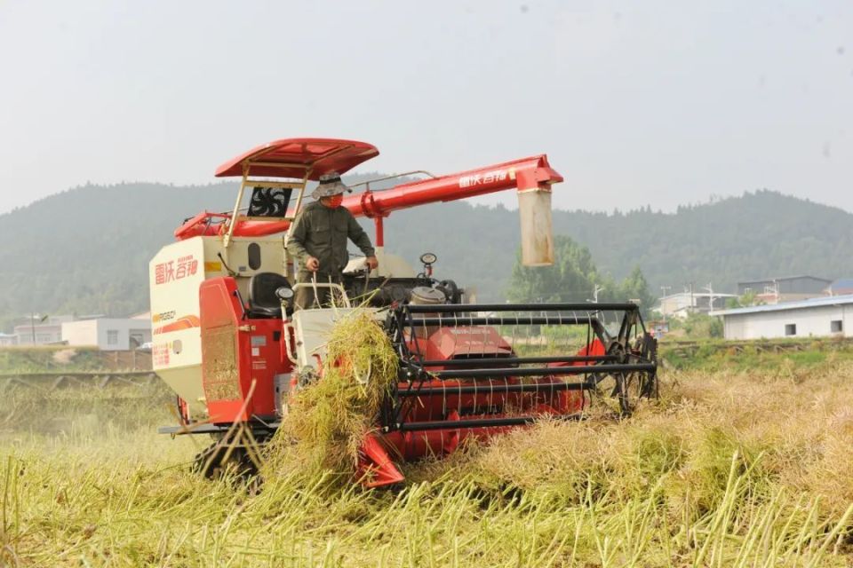 【巡礼】德阳市中江县:以"新农会"建设为抓手探索统战助力乡村振兴新