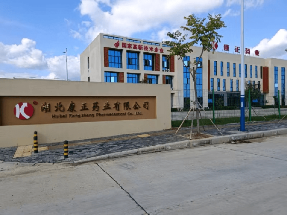 2024年孝感市科技人才服务 企业路演项目展示(二)