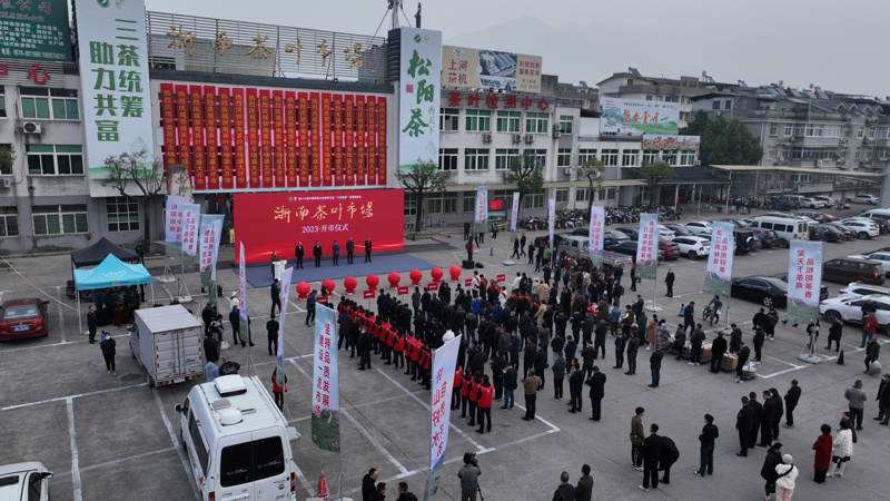 丽水松阳2023年浙南茶叶市场开市