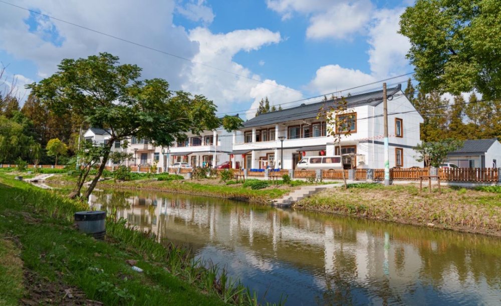 优秀案例丨秀领南上海 生态明星村——奉贤区金汇镇明星村生态清洁小