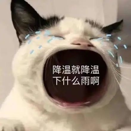 佛山最低气温跌至5