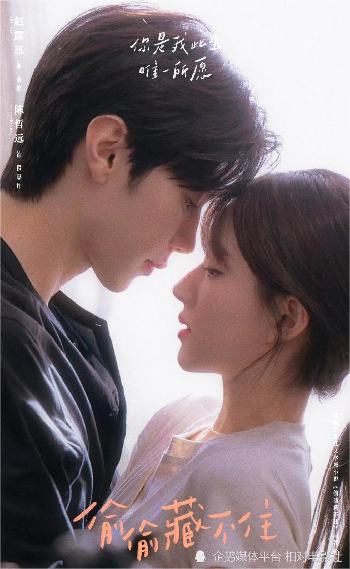 《后浪》余温未散,赵露思又一都市新剧将袭!