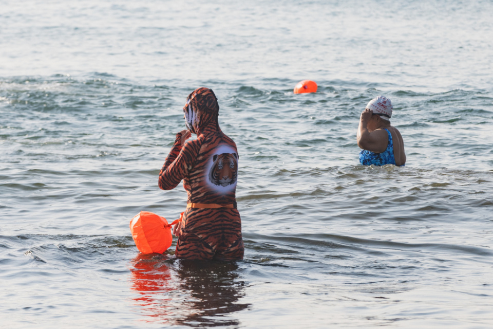 巧克力大爷大妈齐聚栈桥一展冬泳风采