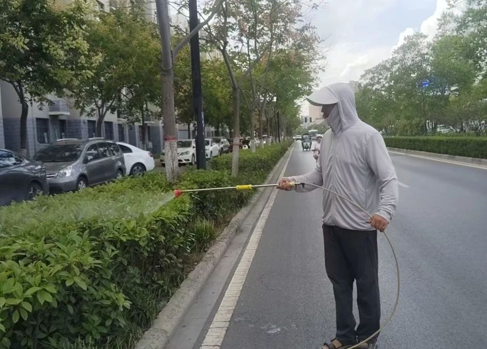 开封市园林绿化中心：三举措防治白粉虱 守护生态民生_腾讯新闻