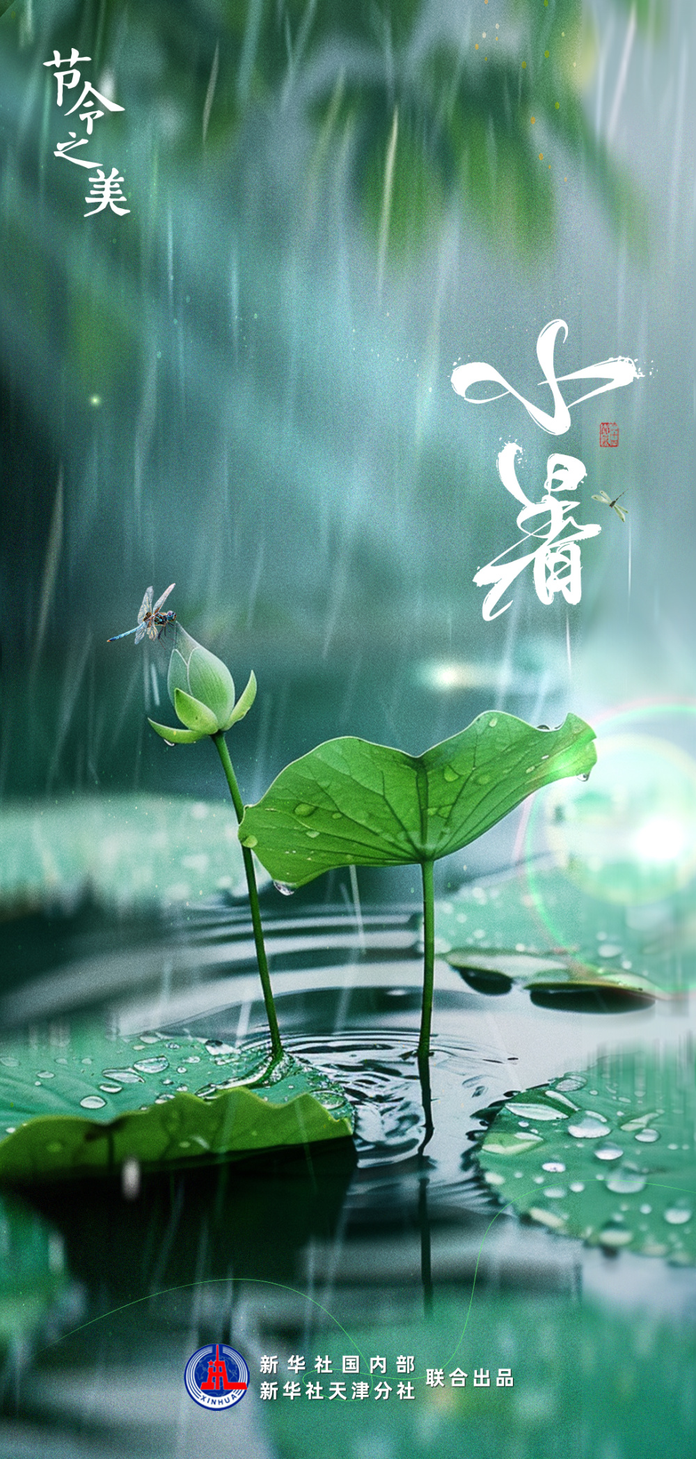 节令之美节到小暑进伏天你有何消暑凉策