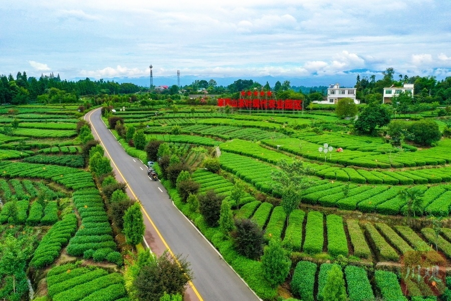 雅安市名山区被评为"四好农村路"全国示范县_腾讯新闻
