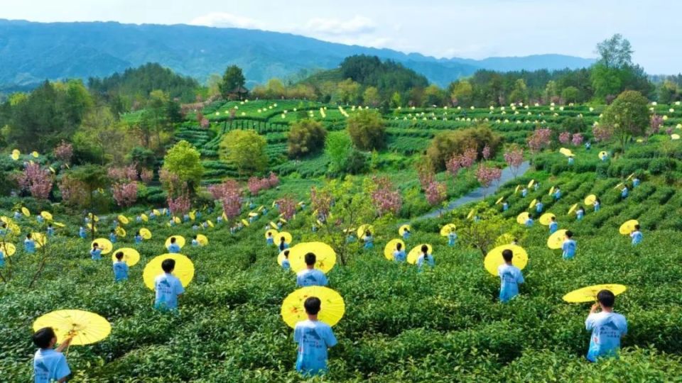 1宁强县玉皇观茶文化旅游景区青云茶室平台