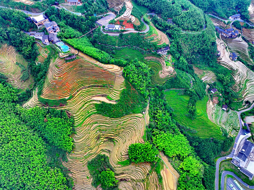赣州市崇义县上堡乡,层层叠叠的梯田与森林,民宿,公路相互映衬,夏日