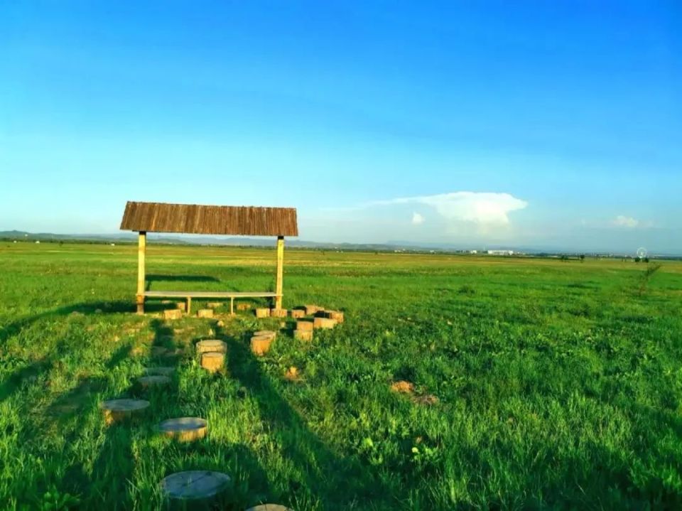 中餐品尝【金驼宴】.