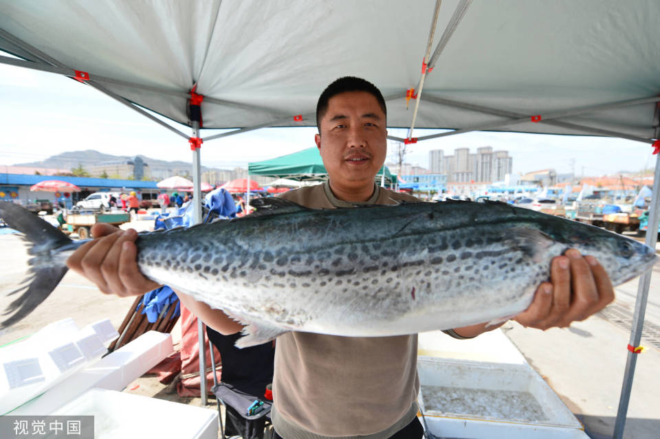 春捕生产入旺季 青岛抱港鱼市海鲜上市出货忙