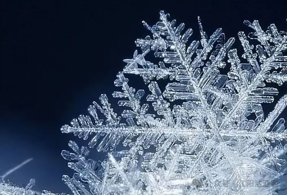 雪与人生的句子:泸州那个冬天下雪了,后来再也没有那么大过