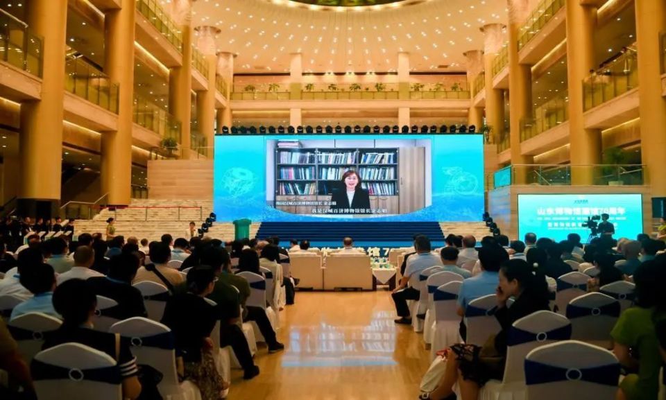 韩国汉城百济博物馆馆长金志娟等发来祝贺视频国内各省市博物馆主要