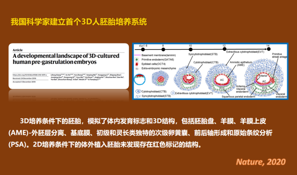 《科创中国·院士开讲》第二十六期：体外人胚胎研究“14天规则”亟待调整