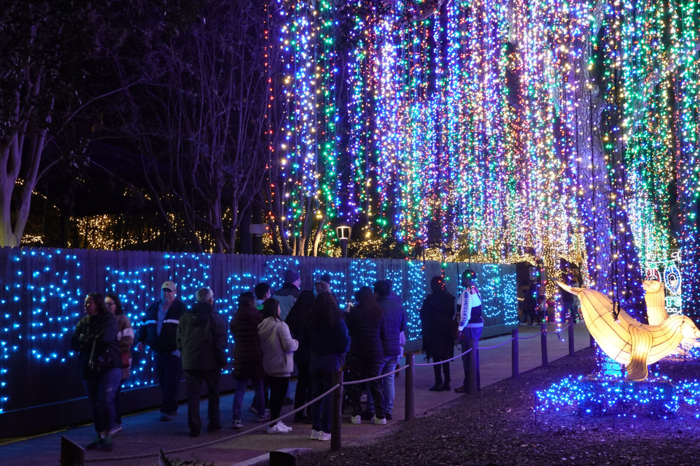 美国休斯敦动物园举办灯光秀