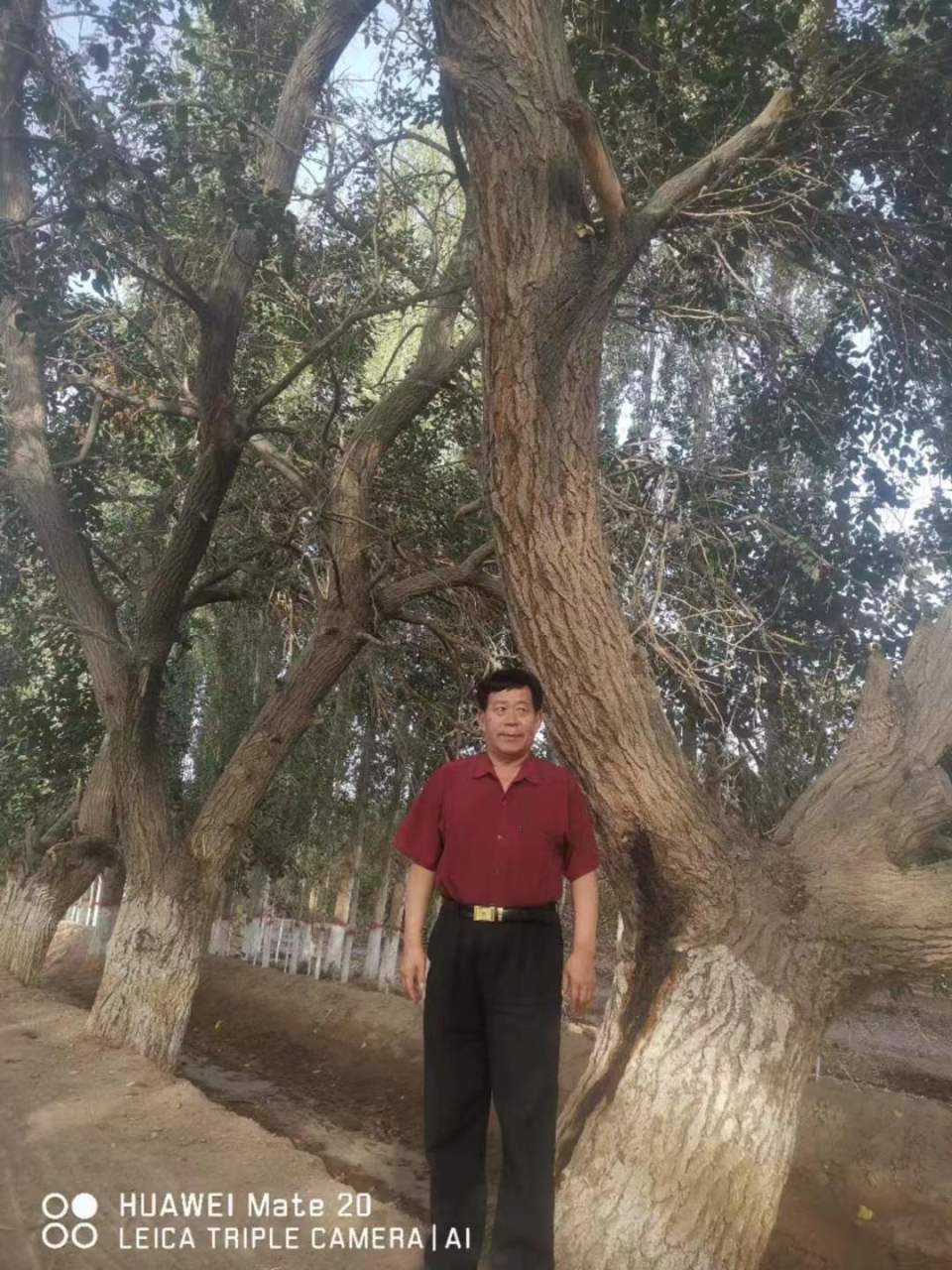 向伟大的中国人民解放军生日献礼黄河千年清一回张国土考察青海