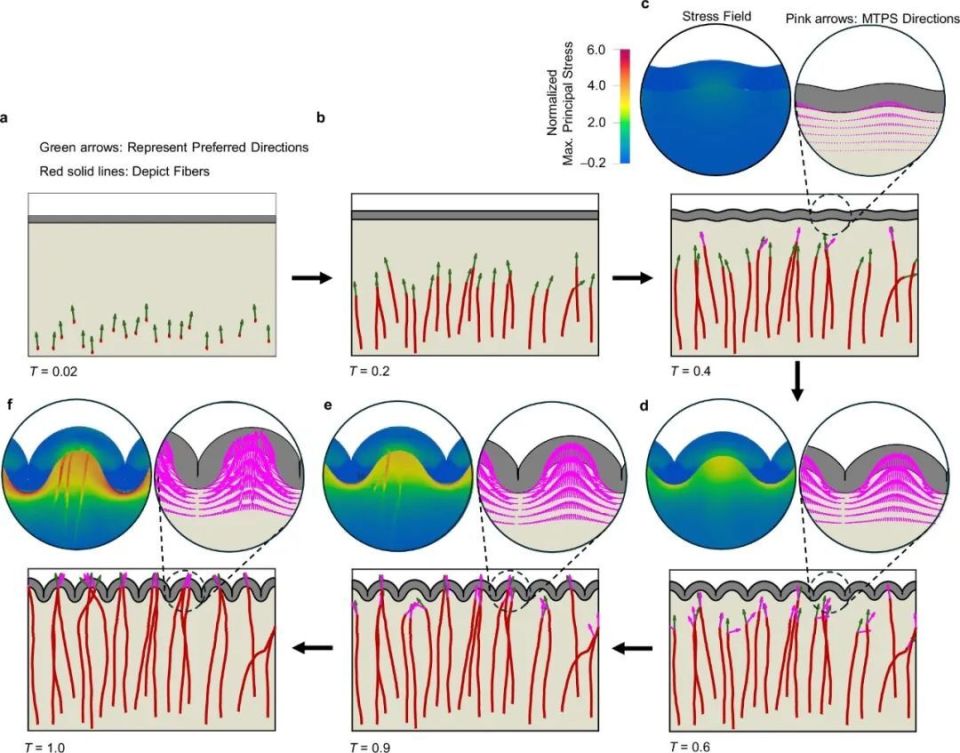 以色列医疗设备有哪些追问weekly ｜ 过去一周，脑科学领域有哪些新发现？Vol.63_https://www.jmylbn.com_新闻资讯_第5张