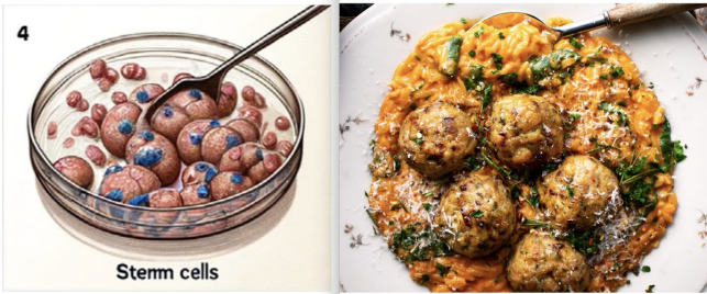 像是香肠披萨.图源:elisabeth bik网友表示看都能看饿了.在审