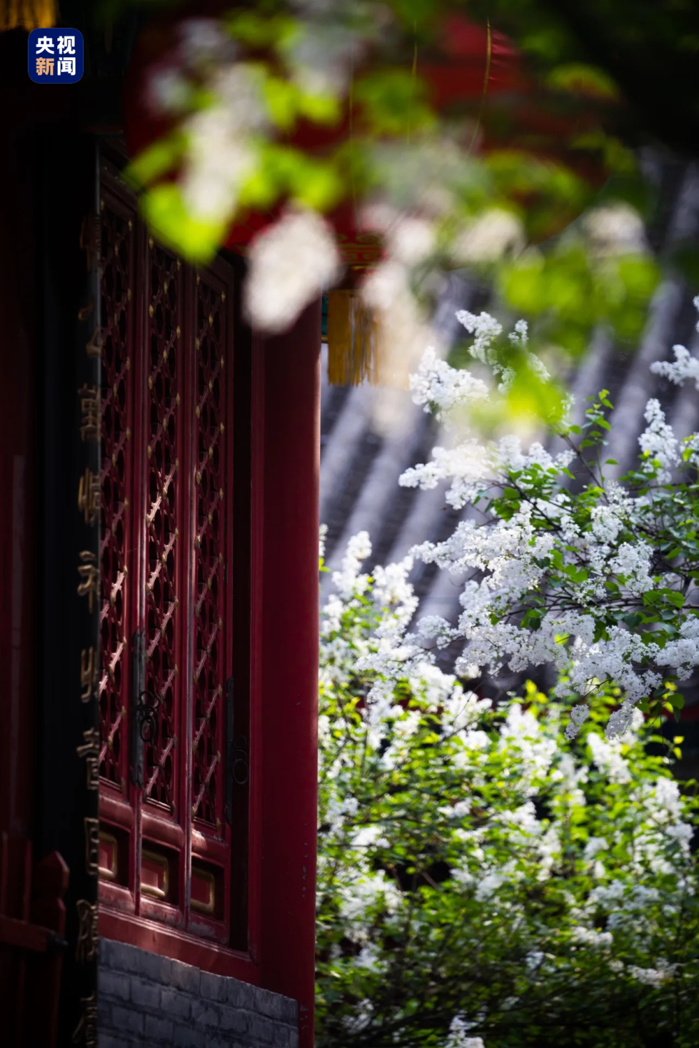 始建于唐贞观年间的法源寺,自古以来就是北京宣南地区重要的文化活动