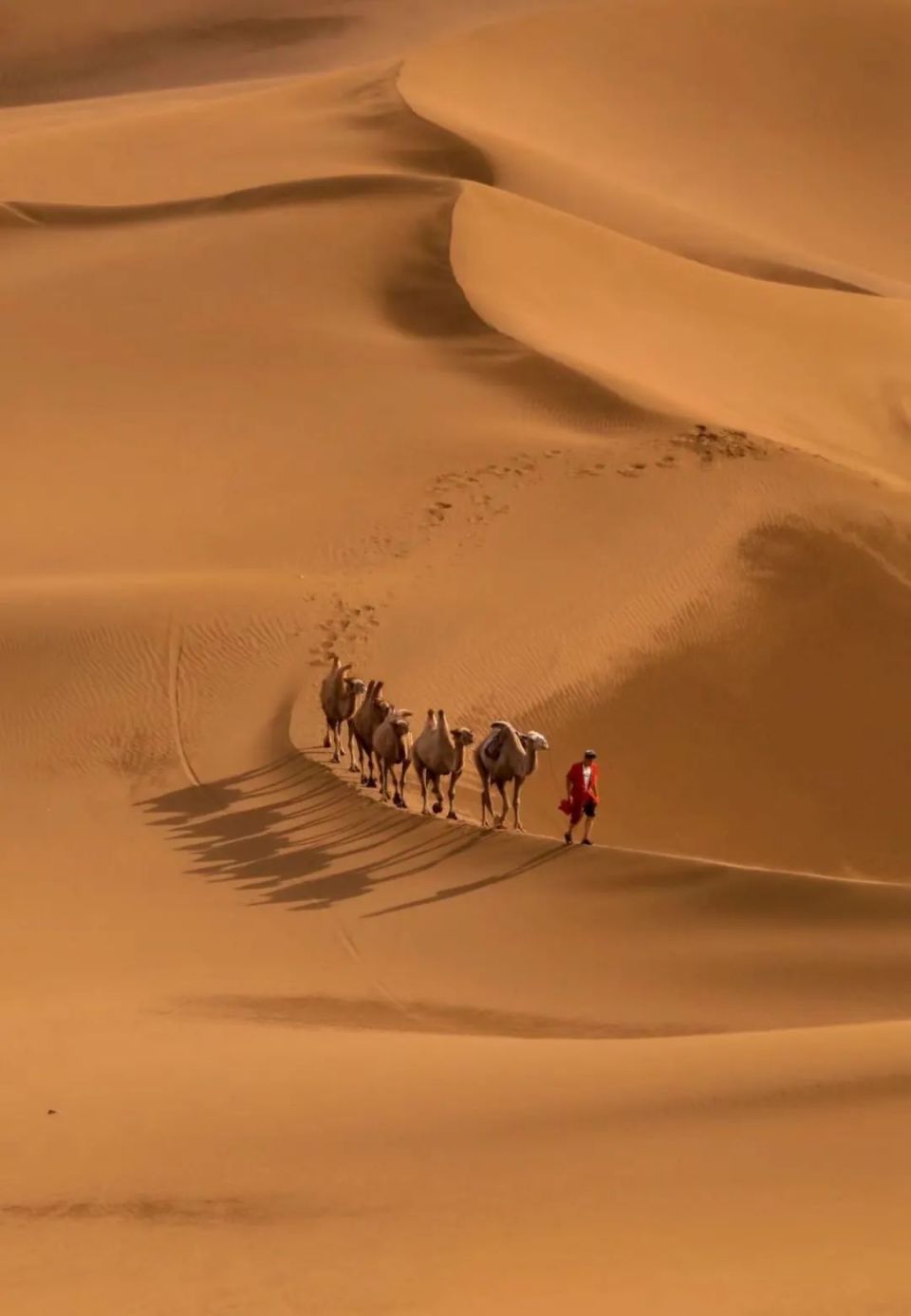假期,在离城市最近的沙漠里撒野!