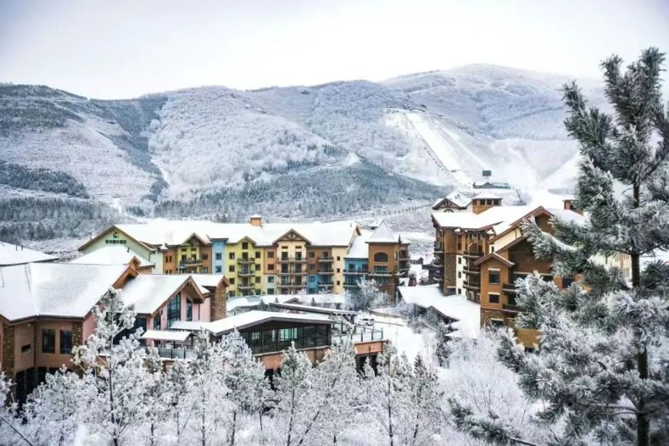 新雪季来临，各地区开板时间及其它信息汇总_腾讯新闻