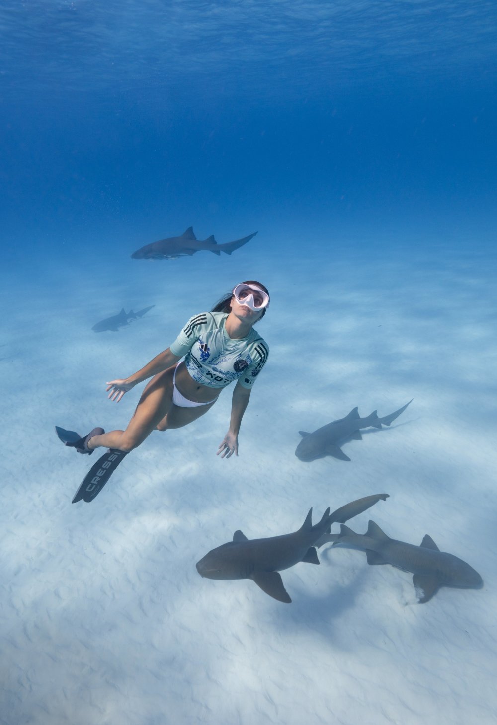 女潜水员为迈阿密国际特别球衣拍宣传片,在水下与鲨鱼共舞_腾讯新闻
