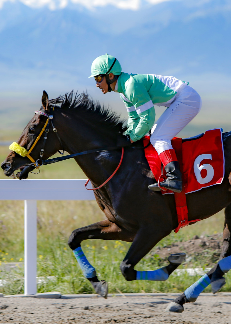 第十二届全国少数民族传统体育运动会民族赛马8000米赛况